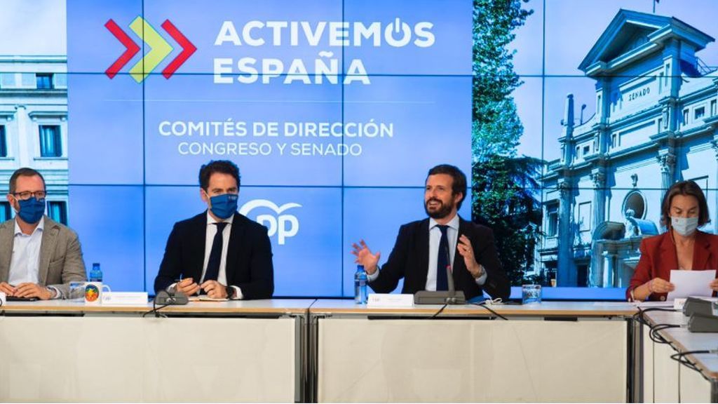 Casado reunido telemáticamente con su grupo parlamentario Casado reunido telemáticamente con su grupo parlamentario