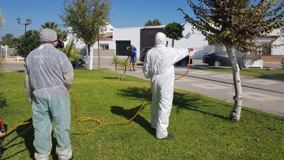 El virus del Nilo causa su primera víctima en Cádiz, la cuarta en Andalucía tras los tres fallecidos de Sevilla