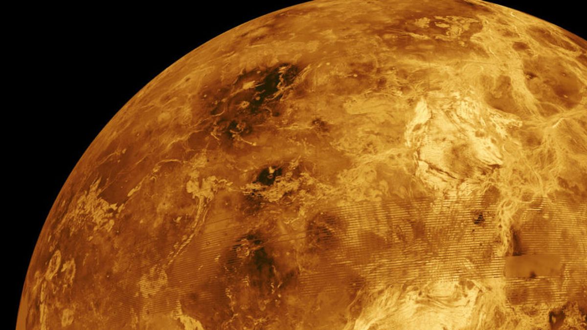 Venus, Mecano y el 2020: la canción que ya hablaba de vivir encerrados
