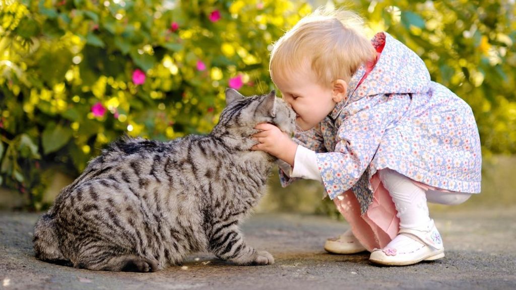 Los gatos son animales a los que no les gusta mucho el cambio. Por eso, las primeras horas pueden ser difíciles.