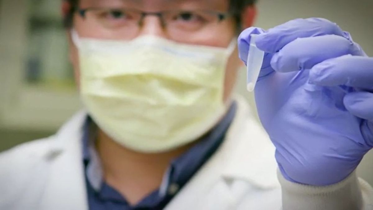 Hallan una molécula capaz de neutralizar, en modelos animales, al coronavirus Hallan una molécula capaz de neutralizar, en modelos animales, al coronavirus
