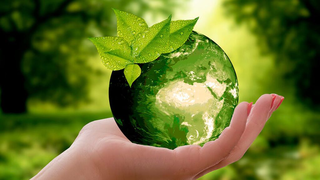 Antes de nada, el pequeño tendrá que entender la importancia de la naturaleza en nuestra vida.