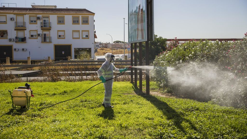 Un vecino de Vejer, segunda muerte en Cádiz por el virus del Nilo y la sexta en Andalucía Un vecino de Vejer, segunda muerte en Cádiz por el virus del Nilo y la sexta en Andalucía