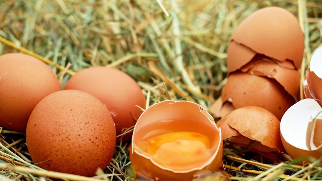 Una investigación internacional concluye que el consumo de cuatro huevos a la semana es saludable para el corazón Una investigación internacional concluye que el consumo de cuatro huevos a la semana es saludable para el corazón