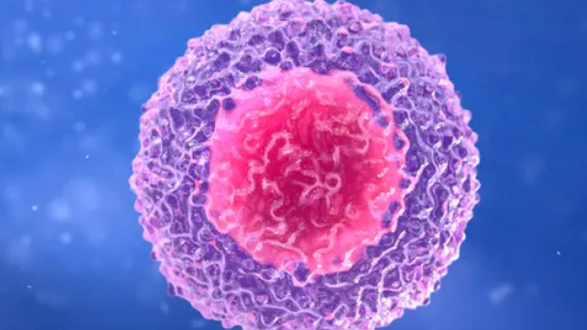 Un estudio desvela por qué el coronavirus puede ser leve o mortal, más entre los mayores