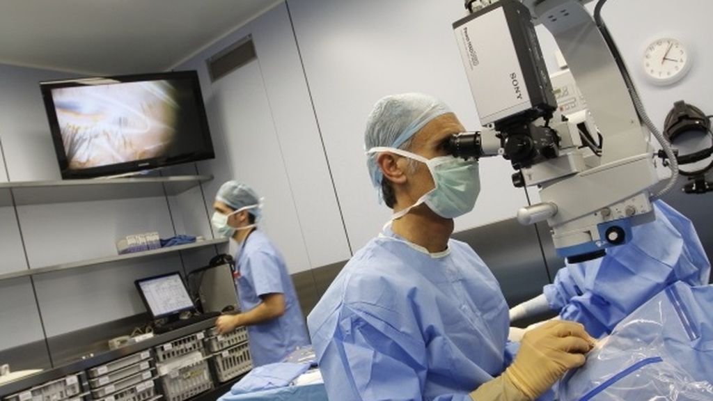 La donación de médula ósea crece en España y se acerca al medio millón de donantes al año La donación de médula ósea crece en España y se acerca al medio millón de donantes al año