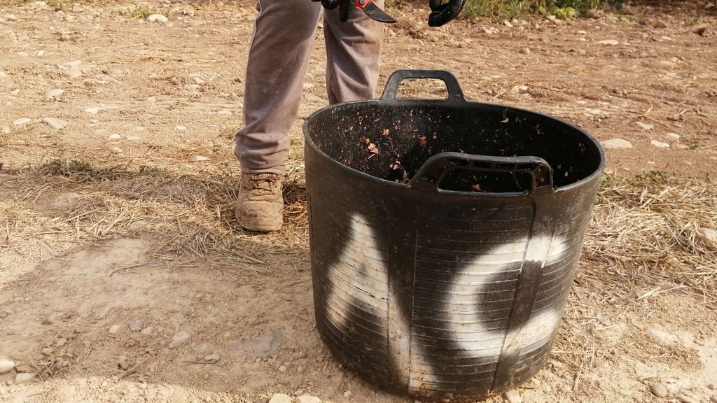 Un cesto con las siglas del nombre y apellido de su temporero.