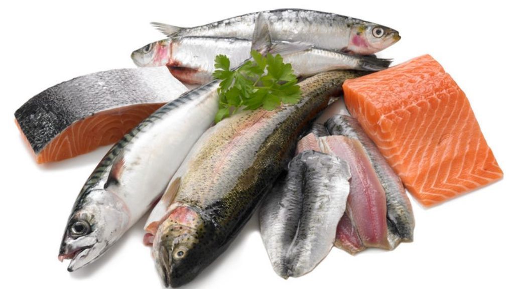 salmon y sardinas