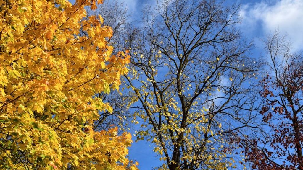 Previsión de la AEMET para este otoño: será más seco y caluroso de lo normal en toda España Previsión de la AEMET para este otoño: será más seco y caluroso de lo normal en toda España