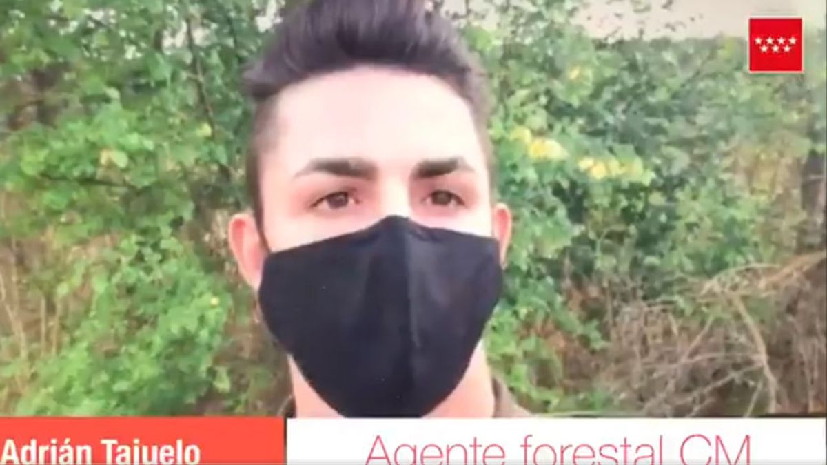 Adrián Tajuelo, el agente forestal que ha salvado la vida a un niño de 2 años tras atragantarse con una aceituna en Madrid