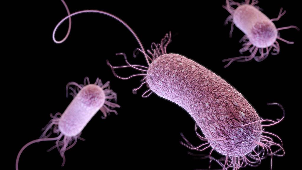 Descubren una superbacteria en una mina abandonada que podría ayudar a vencer al cáncer Descubren una superbacteria en una mina abandonada que podría ayudar a vencer al cáncer