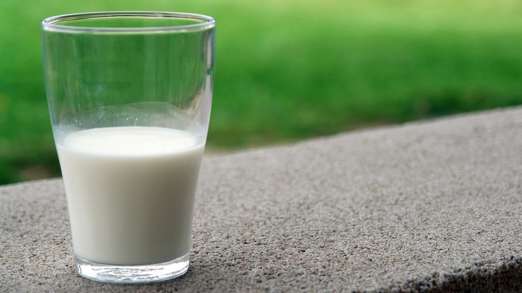 Consumir 3 vasos de leche al día "es exagerado", según el doctor.