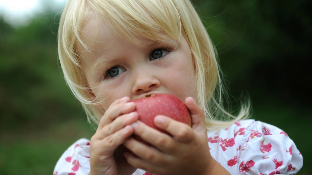 ¿Con qué alimentos empezar el Baby Led Weaning?