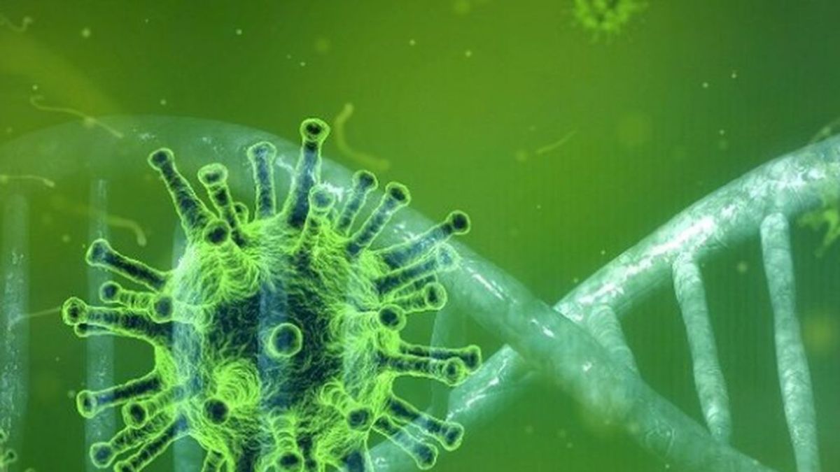 Un estudio estima que España sumará casi 2.000 muertes por Coronavirus en las próximas dos semanas