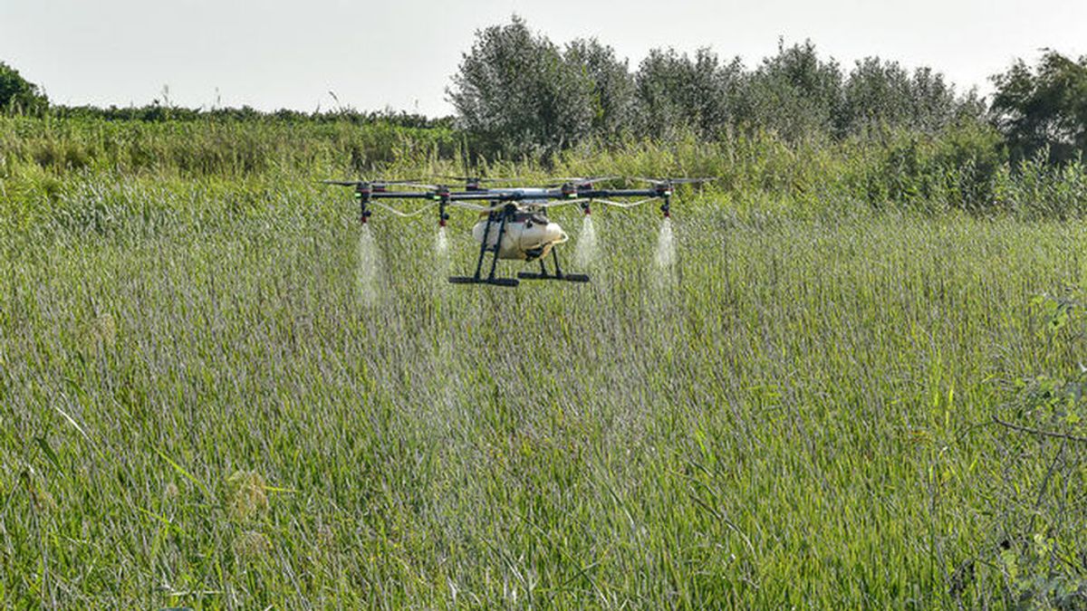 Así actúan los drones que fumigan los mosquitos que transmiten el virus del Nilo Así actúan los drones que fumigan los mosquitos que transmiten el virus del Nilo