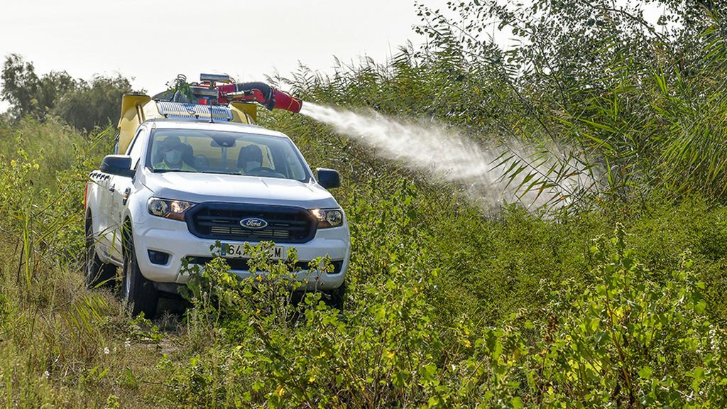 coche fumigacion
