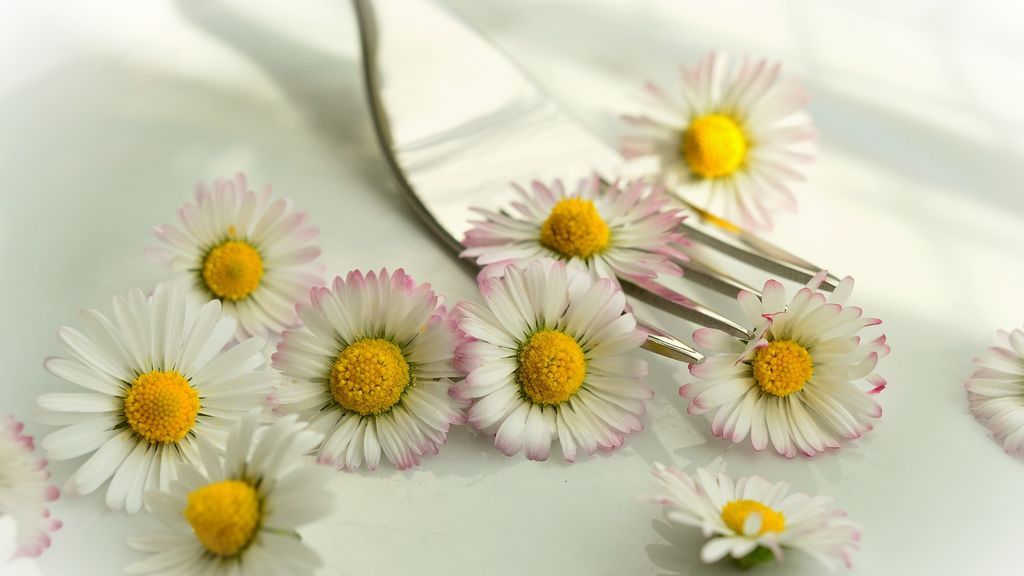 Cómo cocinar con flores comestibles y sorprender a tus invitados