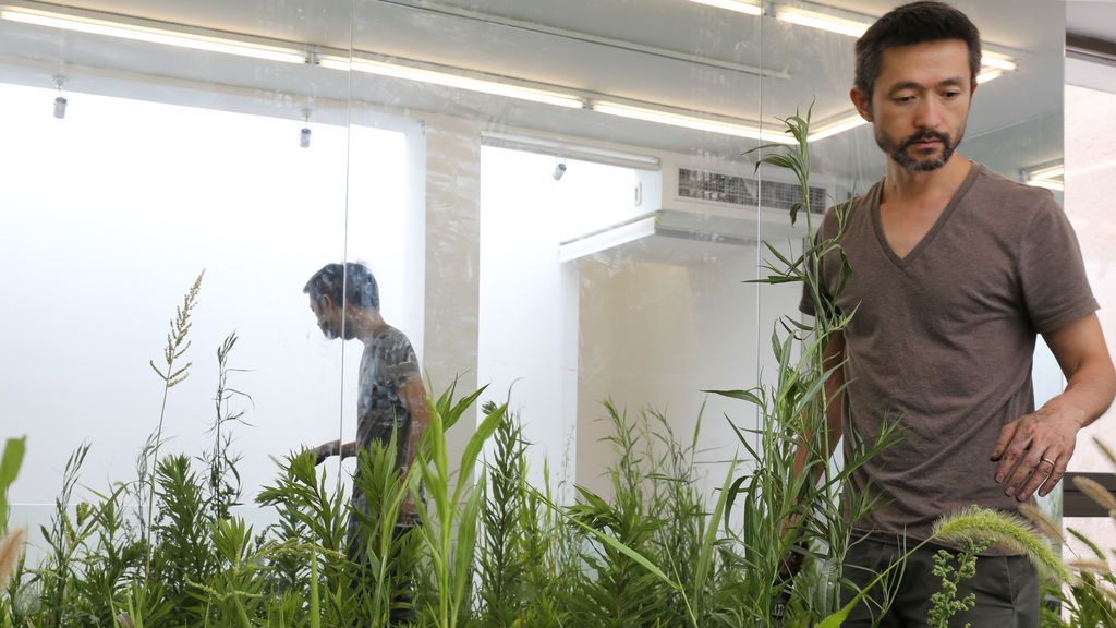 Zheng Bo, el artista que te enseña a tener sexo con plantas en Berlín Zheng Bo, el artista que te enseña a tener sexo con plantas en Berlín