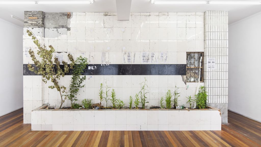 "Jardín", una Instalacion de Zheng Bo de 2015.