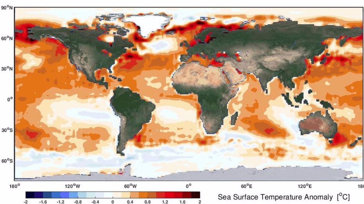 El calentamiento del océano extiende los rigores del clima tropical: California y Australia ya lo saben