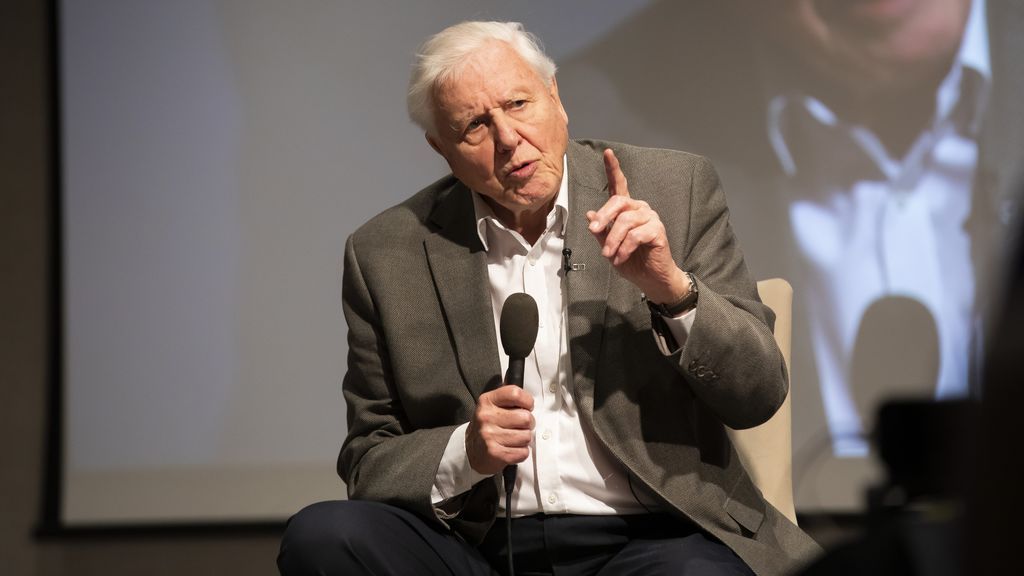 Tres millones de seguidores en dos días: la llegada de David Attenborough a Instagram con 94 años