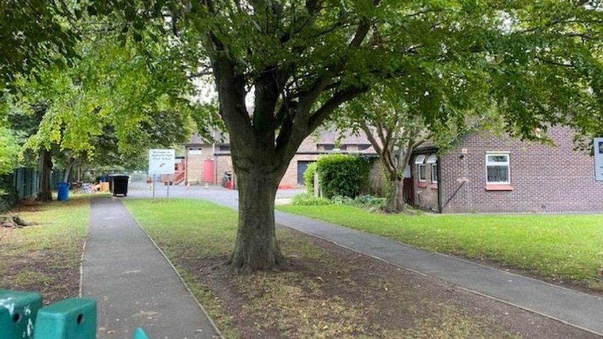 Una niña de seis años muere al caerle un árbol encima en una escuela de primaria británica