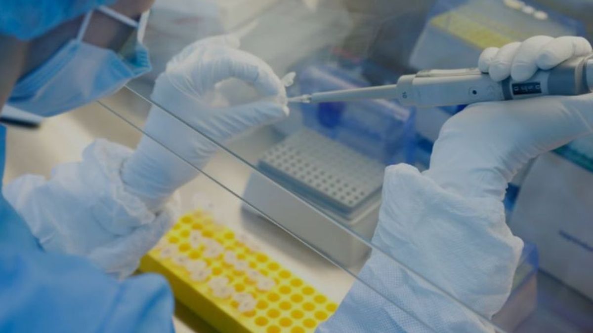 Investigadores vascos encuentran un medicamento que "disminuye drásticamente la mortalidad" en pacientes con coronavirus