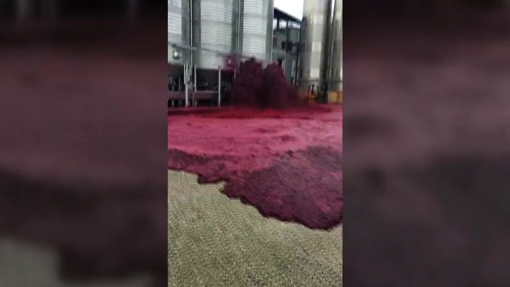 50.000 litros de vino convierten una bodega en un auténtico mar rojo