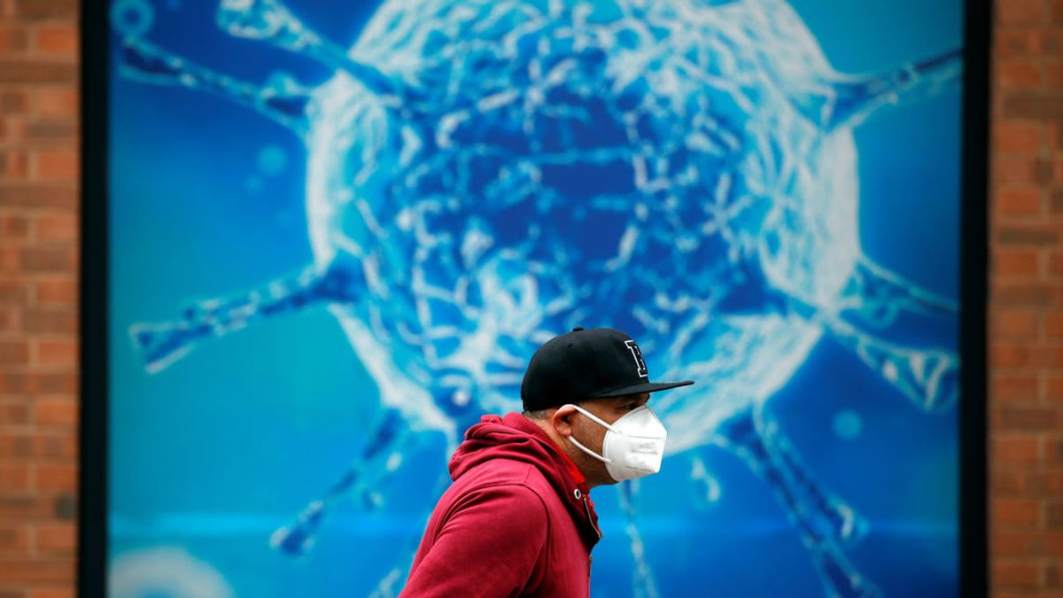 Un spray nasal para el resfriado reduce el coronavirus en los animales Un spray nasal para el resfriado reduce el coronavirus en los animales