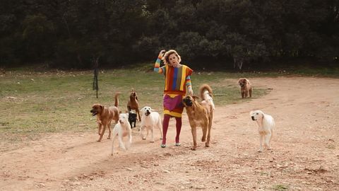 Una De Las Mascotas De Agatha Ruiz De La Prada Se Llama Perro Jota Samanta Y La Vida De