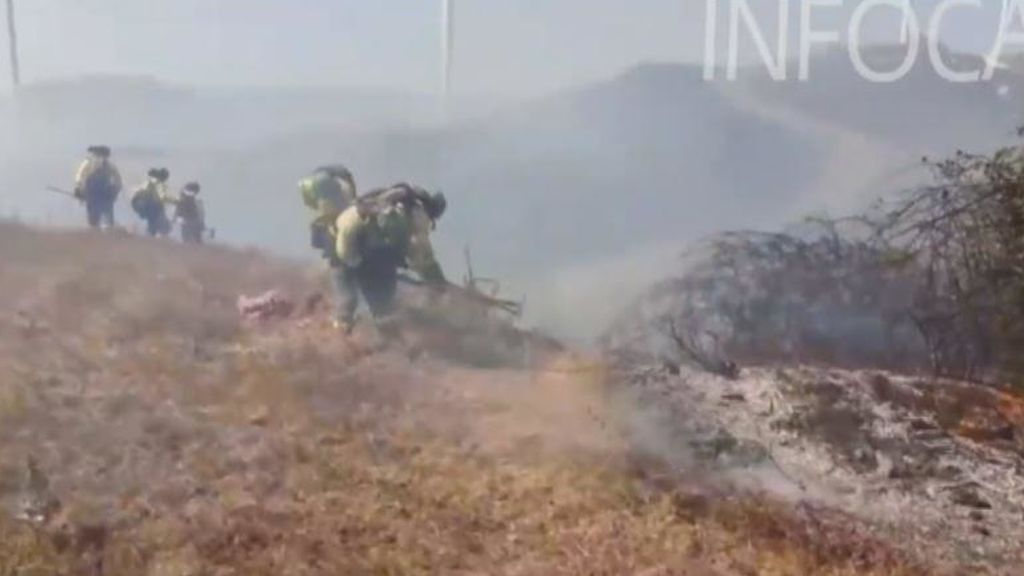 Un incendio forestal en Tarifa provoca el corte de la carretera N-340