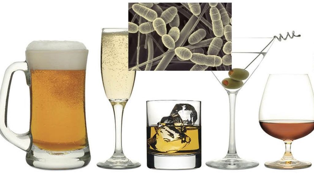 varios tipos de bebidas alcohólicas.