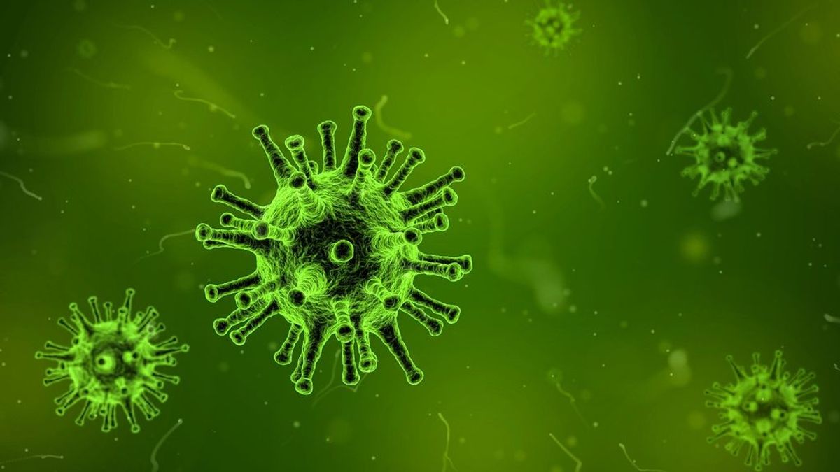 Qué es la inmunidad celular