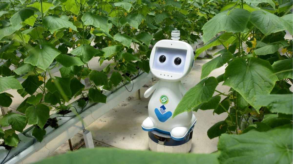 Robot agricultor en China: la agricultura y ganadería que viene con el 5G