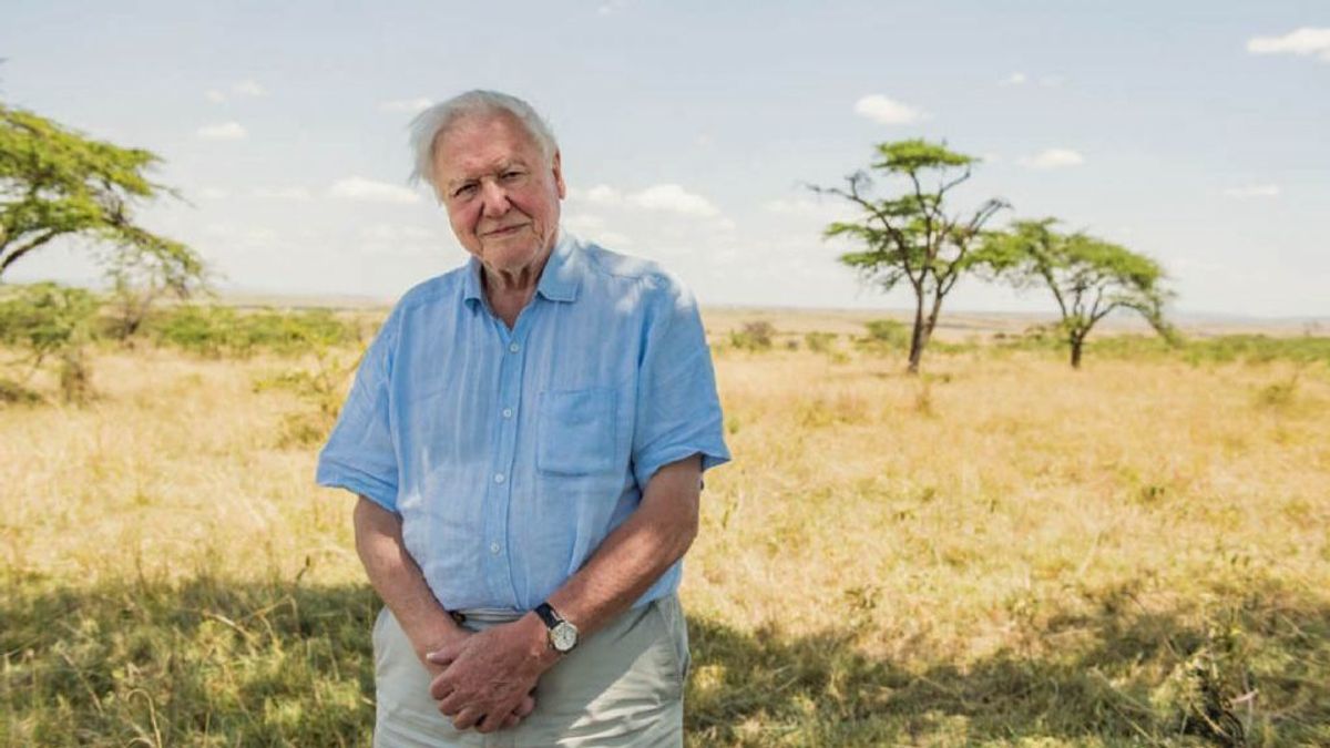 David Attenborough bate un récord en Instagram y hace un llamamiento para proteger el planeta