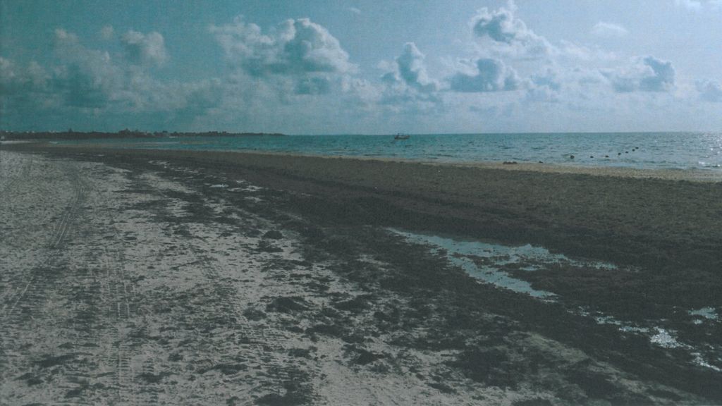 Una agencia de viajes condenada a indemnizar a una familia bilbaína que no pudo disfrutar de la playa por la presencia de algas Una agencia de viajes condenada a indemnizar a una familia bilbaína que no pudo disfrutar de la playa por la presencia de algas