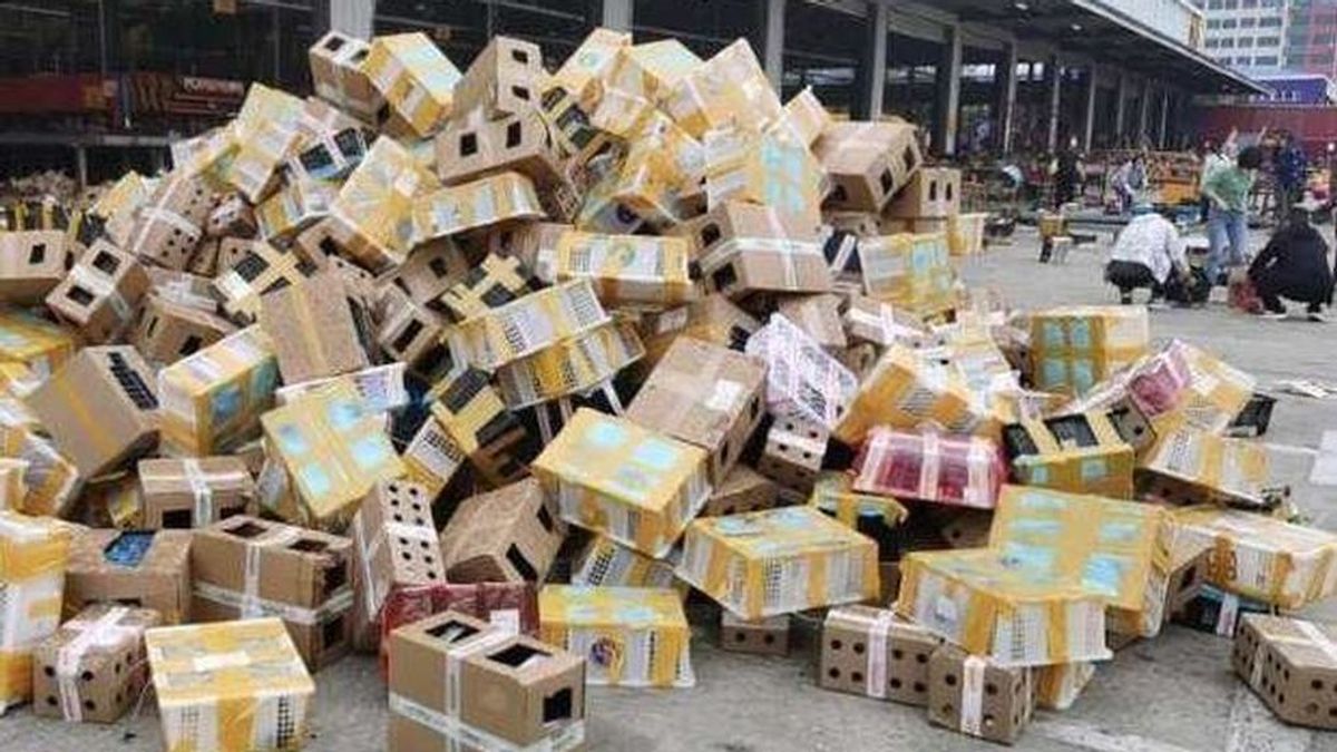 Siniestro descubrimiento en China, hallan 5.000 mascotas muertas en cajas en un depósito