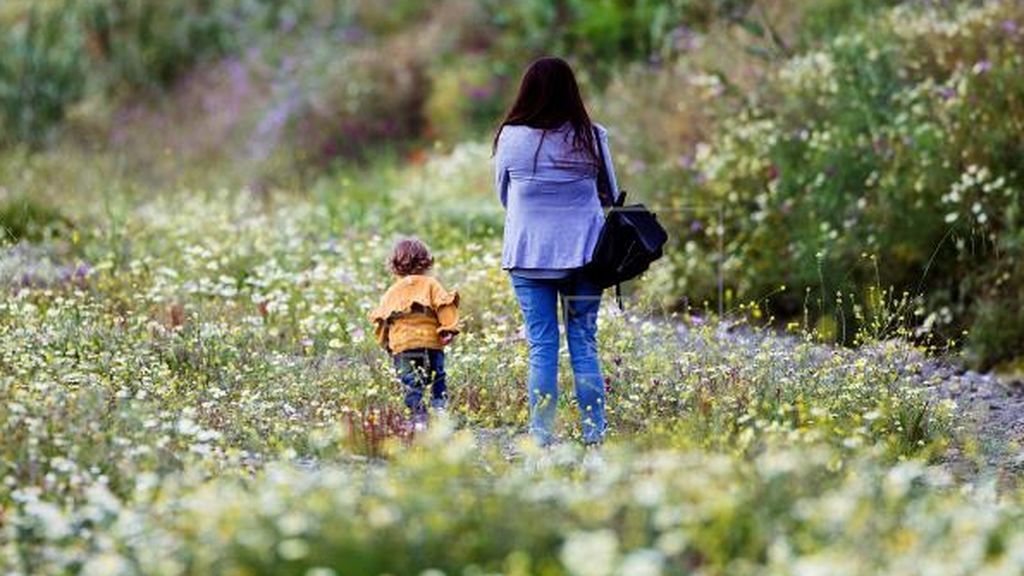 El 77% de los maltratadores agreden también a sus hijos El 77% de los maltratadores agreden también a sus hijos