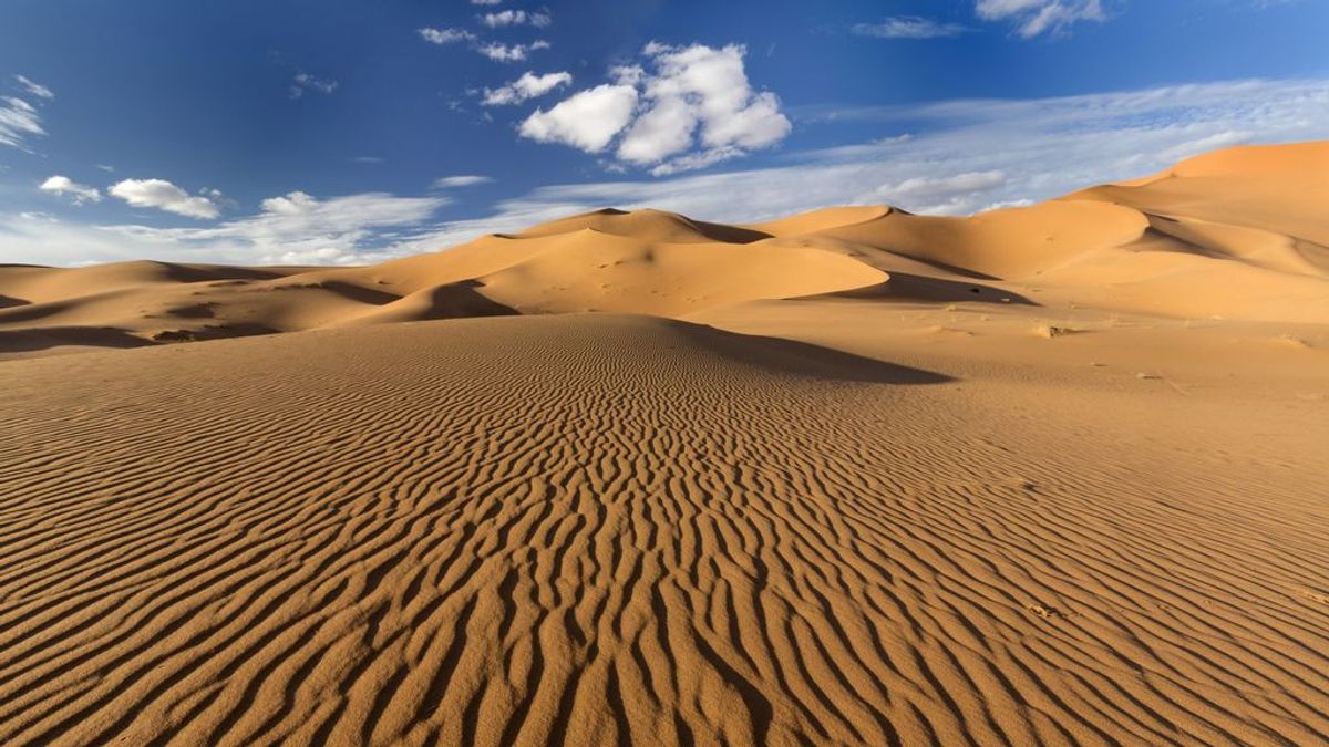 ¿Es cierto que el Sáhara podría volver a ser verde?