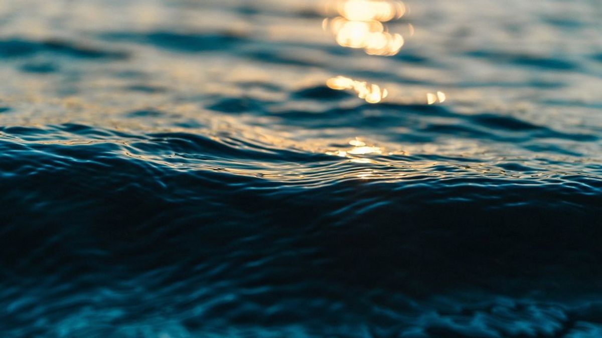 Científicos encuentran un 'nivel detectable' de coronavirus en muestras tomadas en el agua del mar