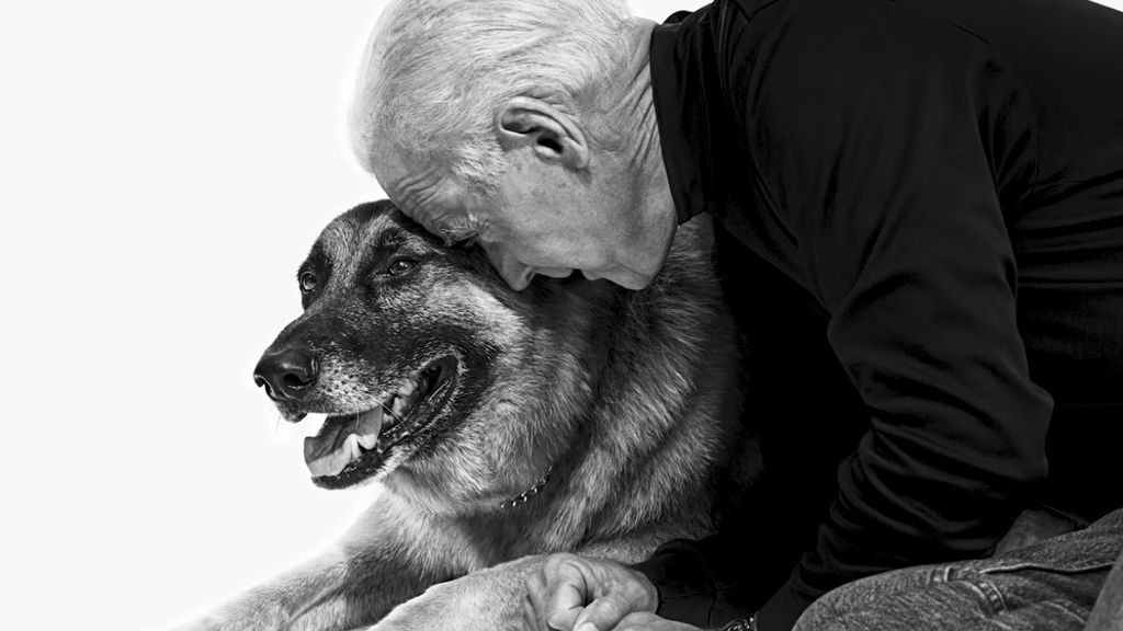 Los amantes de los perros prefieren a Joe Biden