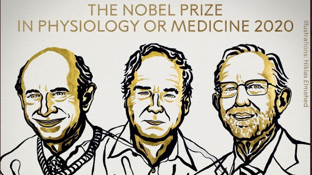 El Nobel de Medicina, para los descubridores del virus de la hepatitis C El Nobel de Medicina, para los descubridores del virus de la hepatitis C