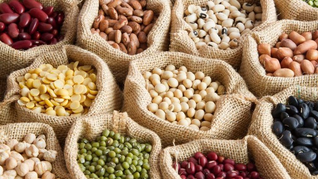 Proteínas vegetales: propiedades y diferencia con la proteína animal Proteínas vegetales: propiedades y diferencia con la proteína animal