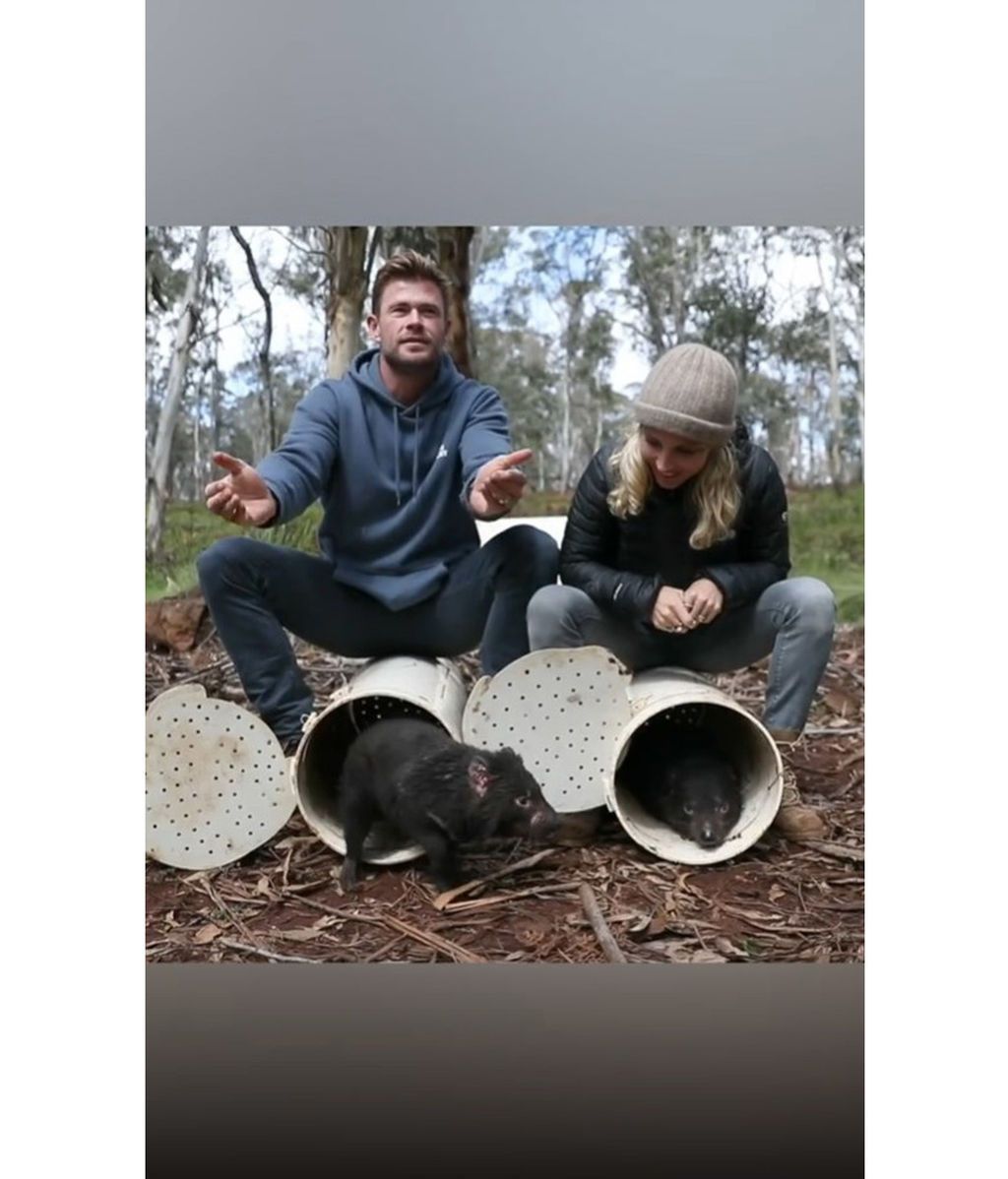 Chris Hemsworth y Elsa Pataky liberando a los demonios de Tasmania