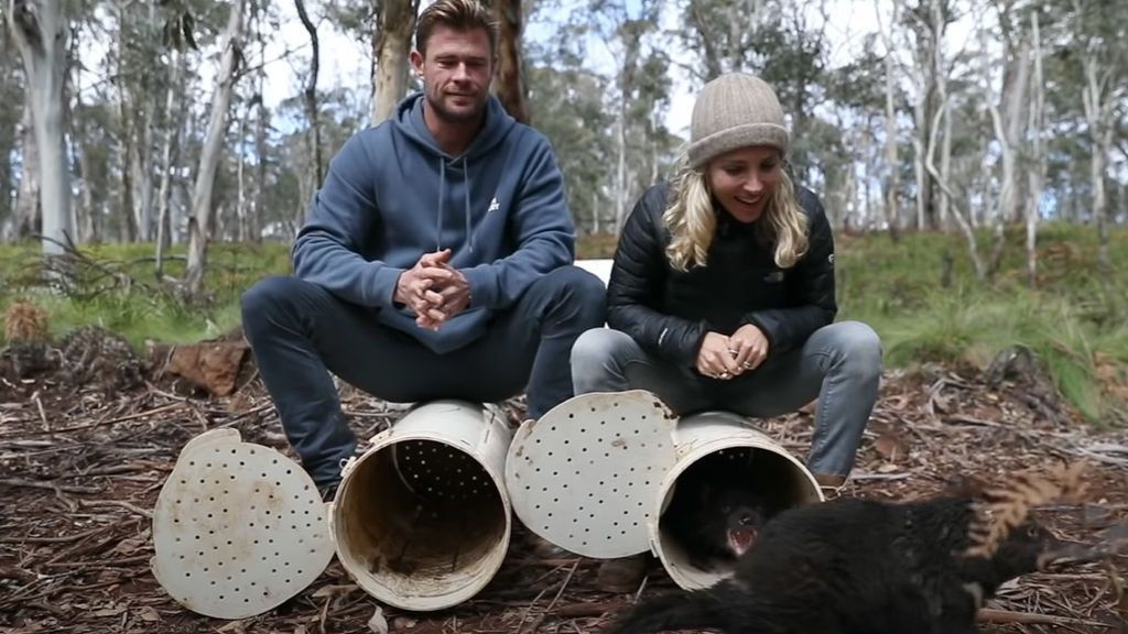 Elsa Pataky y Chris Hemsworth liberan 11 ejemplares del demonio de Tasmania