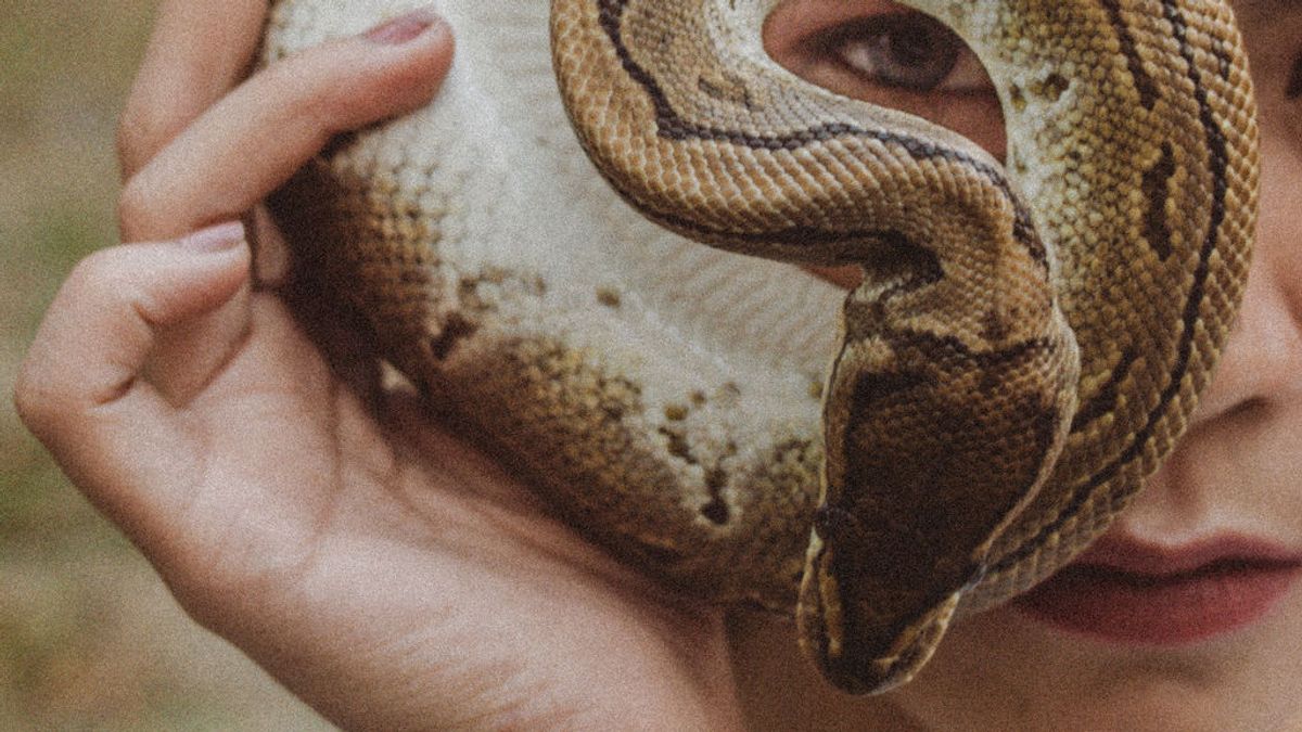 Soñar con serpientes: qué puede significar la aparición de este reptil durante la noche