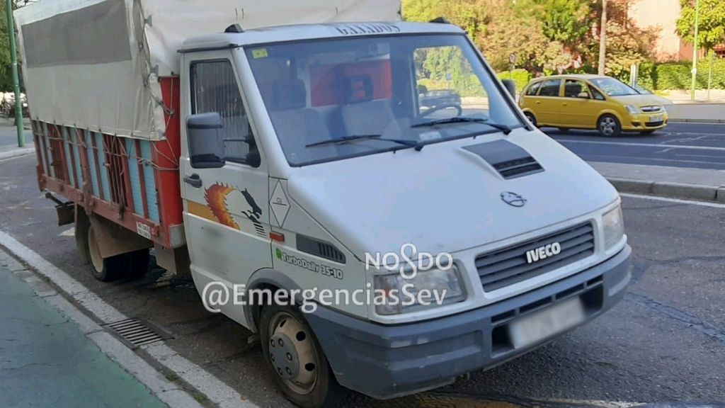Cerdos hacinados en un camión de Sevilla