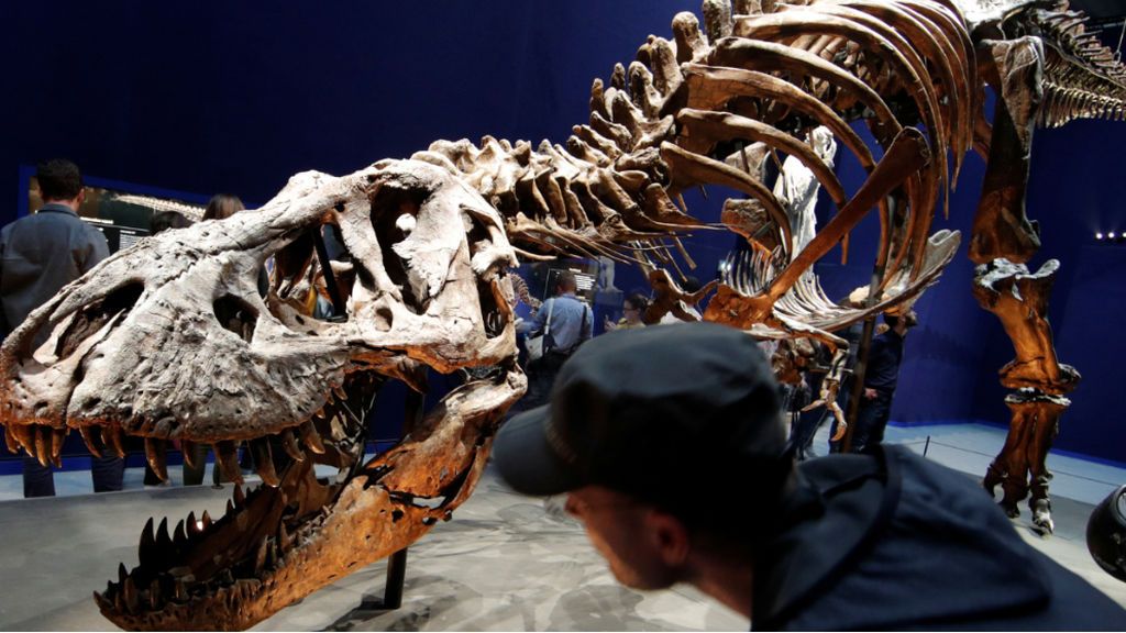 El 'T-Rex Stan' de Nueva York pulveriza récords y sale a subasta por 27 millones de euros El 'T-Rex Stan' de Nueva York pulveriza récords y sale a subasta por 27 millones de euros
