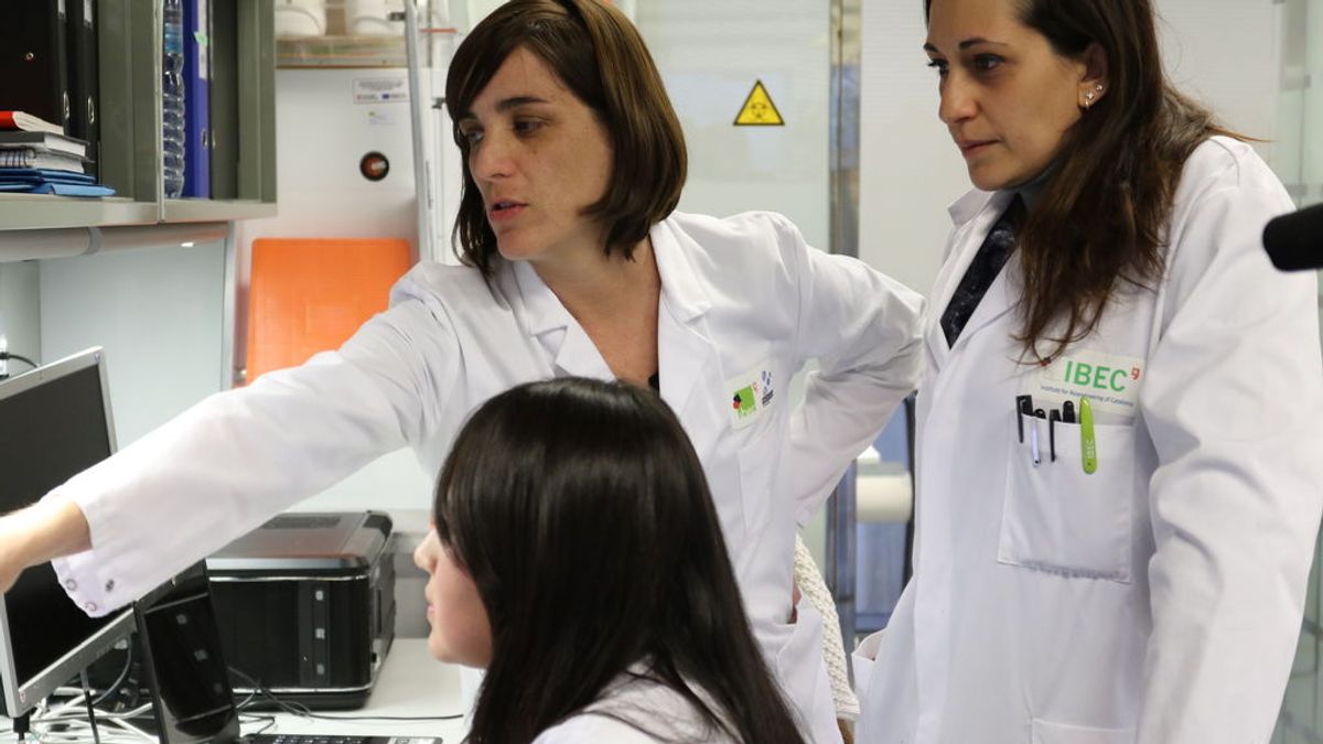 Éxito en el ensayo de un fármaco en el que participan investigadores españoles: "Se ha comprobado que cierra la puerta al virus" Éxito en el ensayo de un fármaco en el que participan investigadores españoles: "Se ha comprobado que cierra la puerta al virus"