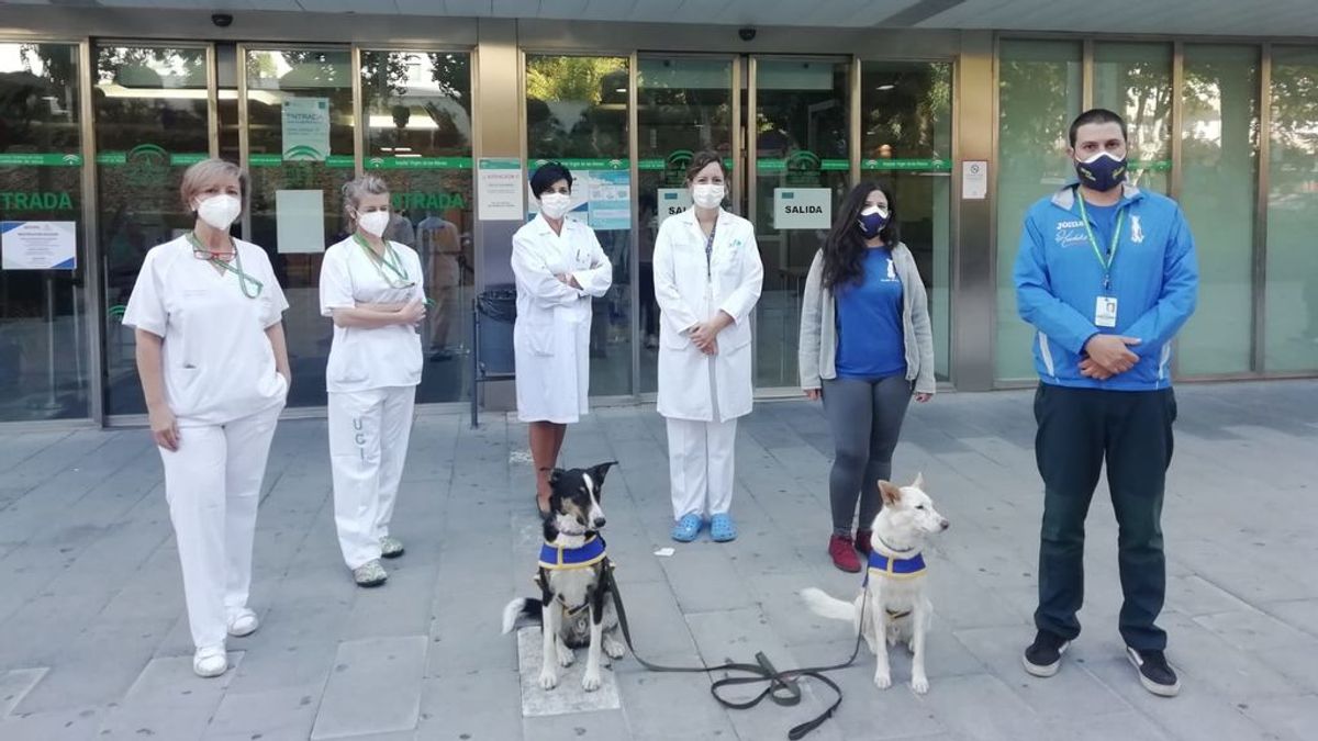 Perros contra el cáncer infantil: regresa la terapia canina al Hospital Virgen de las Nieves de Granada Perros contra el cáncer infantil: regresa la terapia canina al Hospital Virgen de las Nieves de Granada